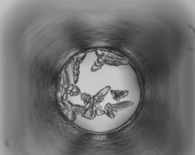 X0000100221313200806201458