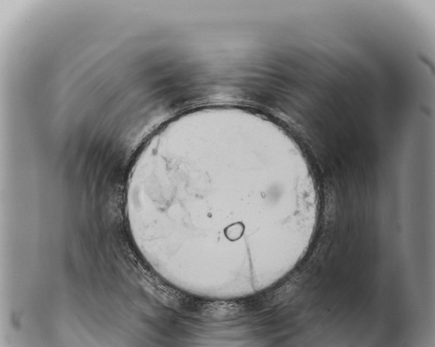 X0000100221314200806201458