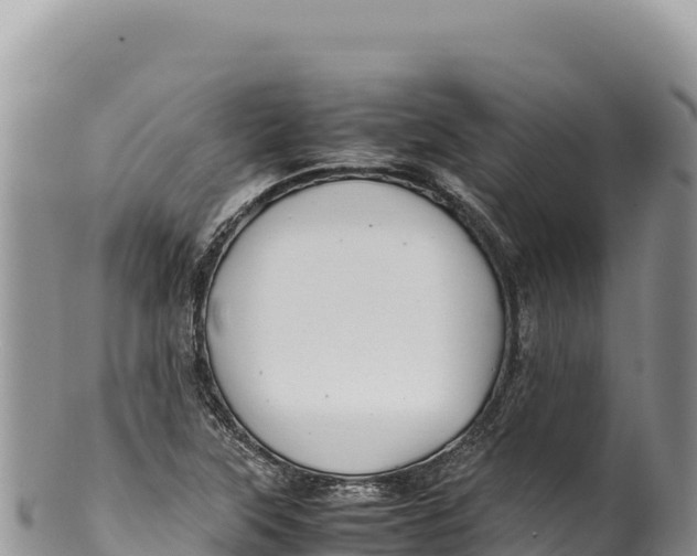 X0000100221315200806201458