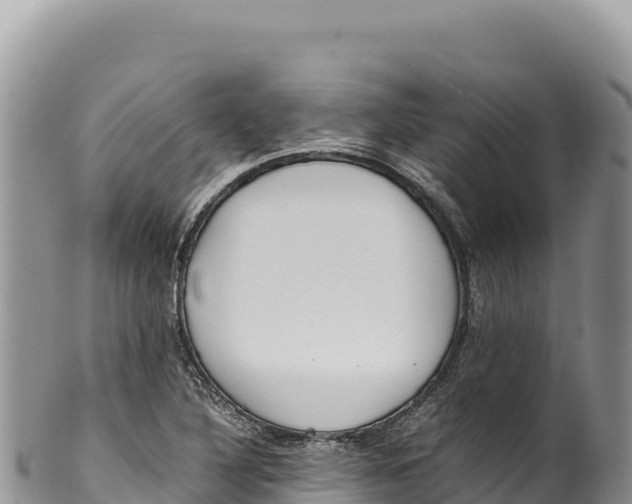 X0000100221316200806201458