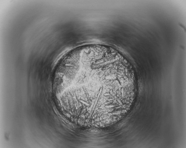 X0000100221318200806201458