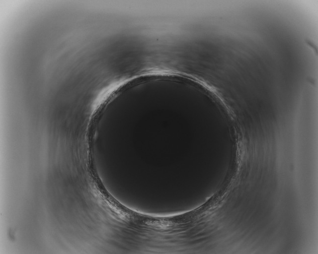 X0000100221319200806201458