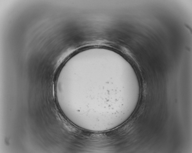 X0000100221320200806201458