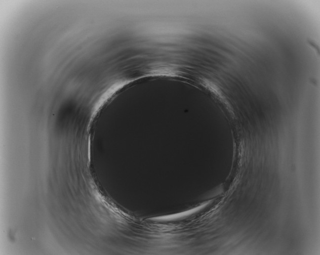 X0000100221323200806201458