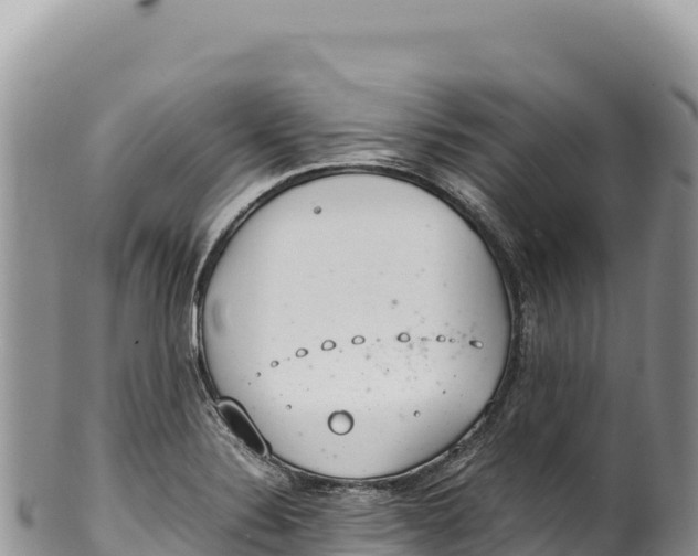 X0000100221324200806201458