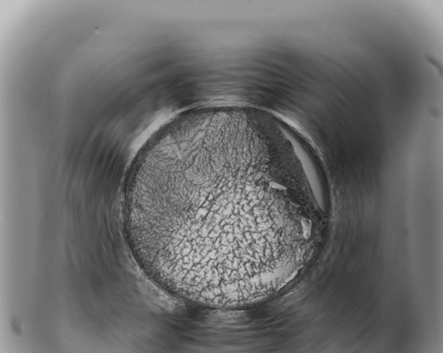 X0000100221325200806201458