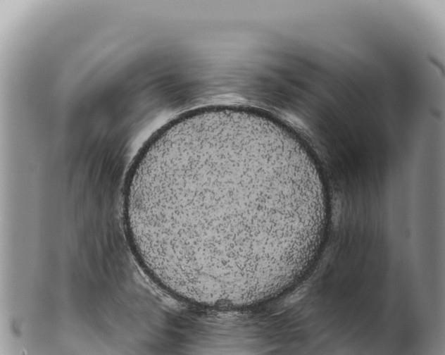 X0000100221326200806201458