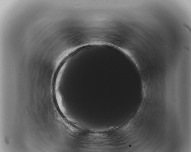 X0000100221327200806201458