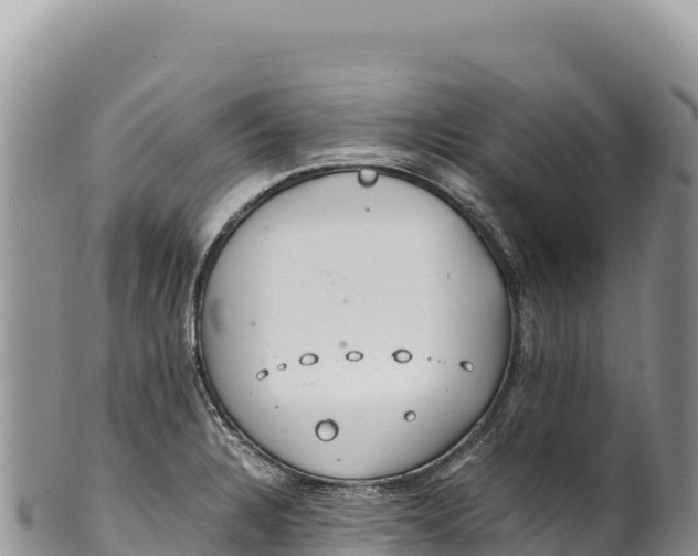 X0000100221328200806201458