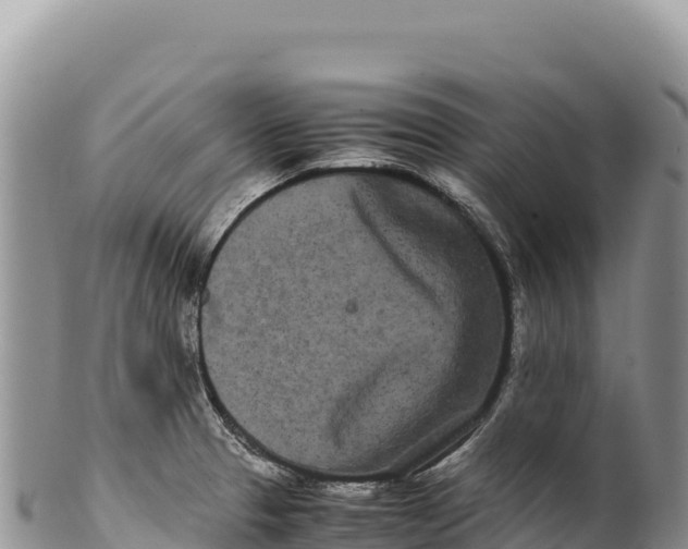 X0000100221329200806201458