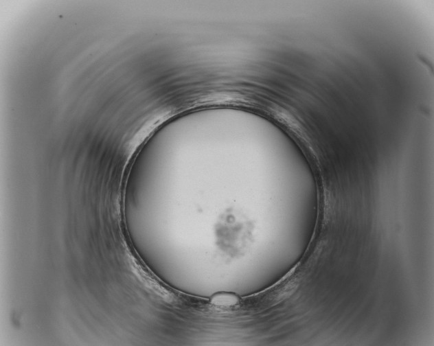 X0000100221330200806201458