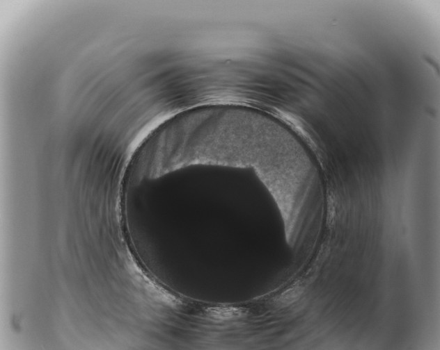 X0000100221331200806201458