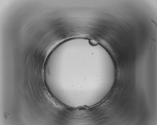 X0000100221332200806201459