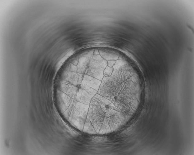 X0000100221333200806201459