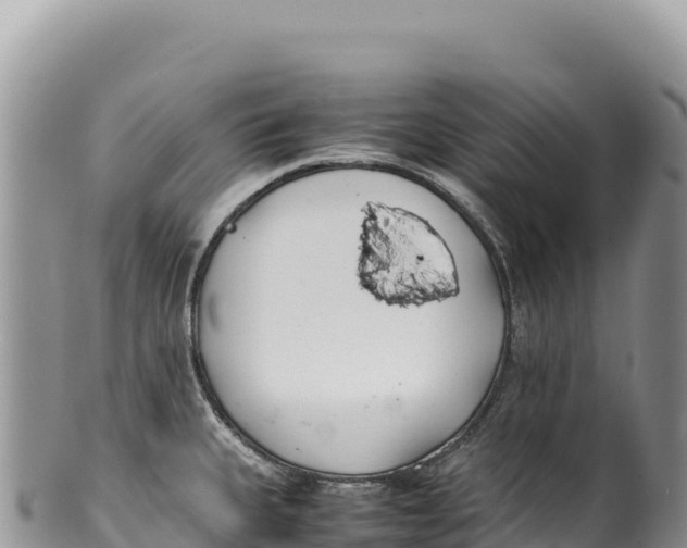 X0000100221335200806201459