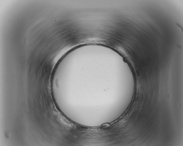 X0000100221336200806201459