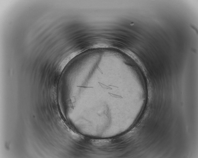 X0000100221337200806201459