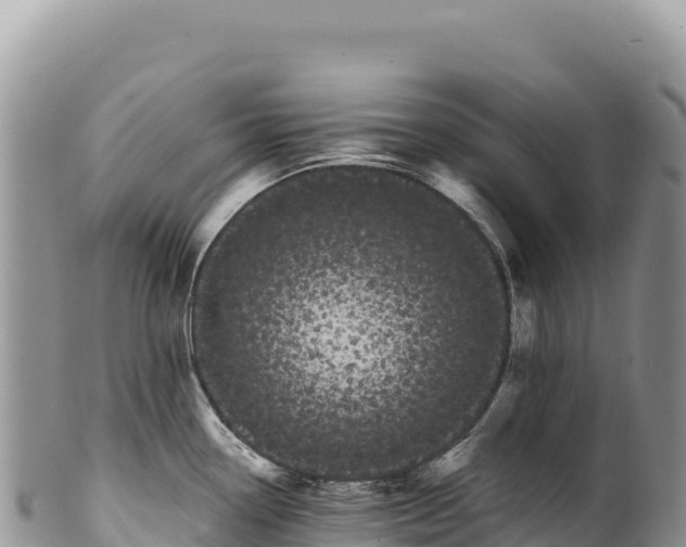 X0000100221338200806201459