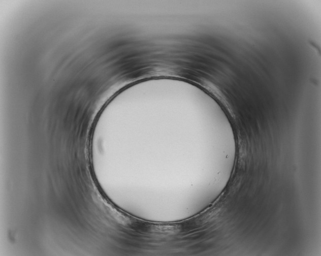 X0000100221339200806201459