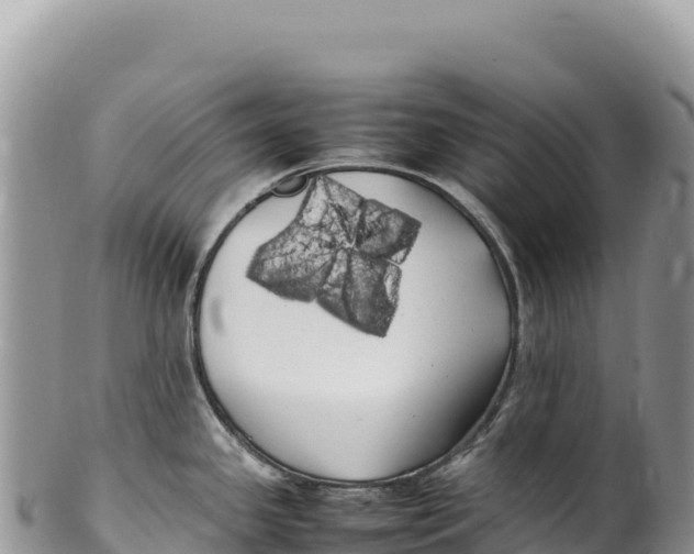 X0000100221341200806201459