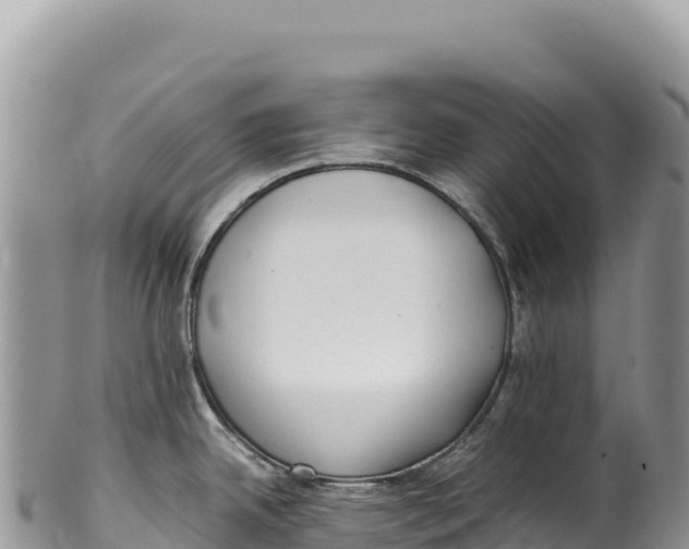 X0000100221342200806201459