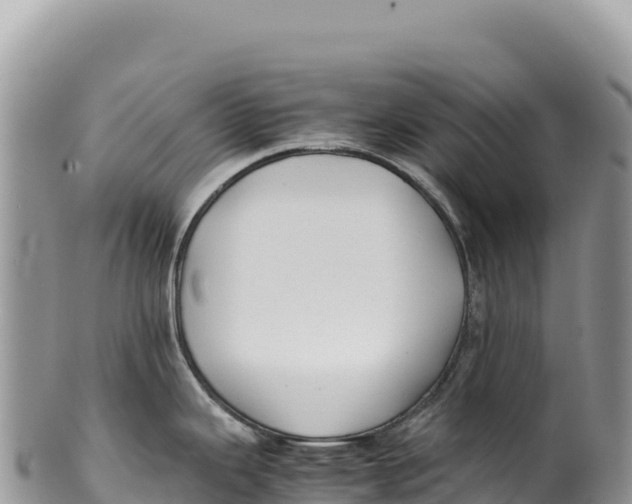 X0000100221343200806201459