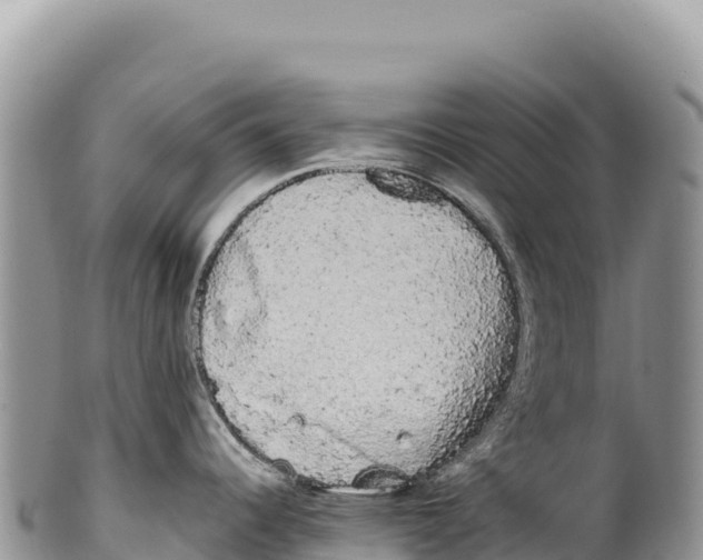 X0000100221344200806201459