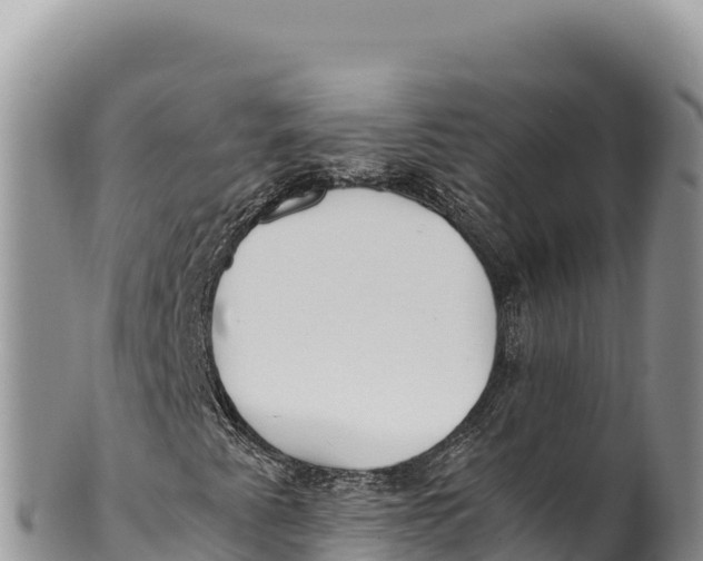 X0000100221345200806201458