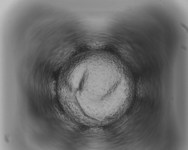 X0000100221346200806201458