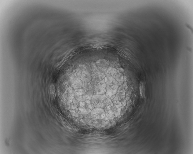 X0000100221347200806201458