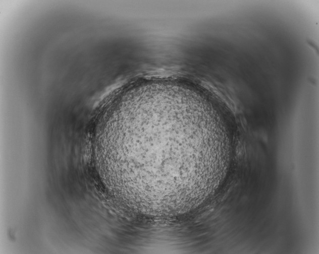 X0000100221350200806201458