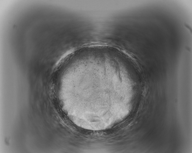 X0000100221351200806201458