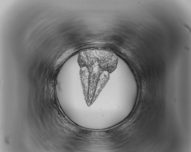 X0000100221354200806201458