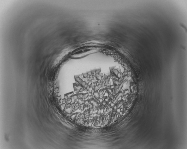 X0000100221355200806201458