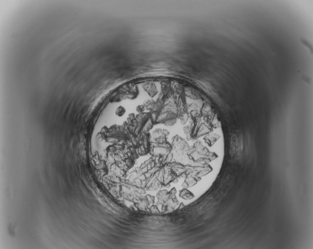 X0000100221356200806201458