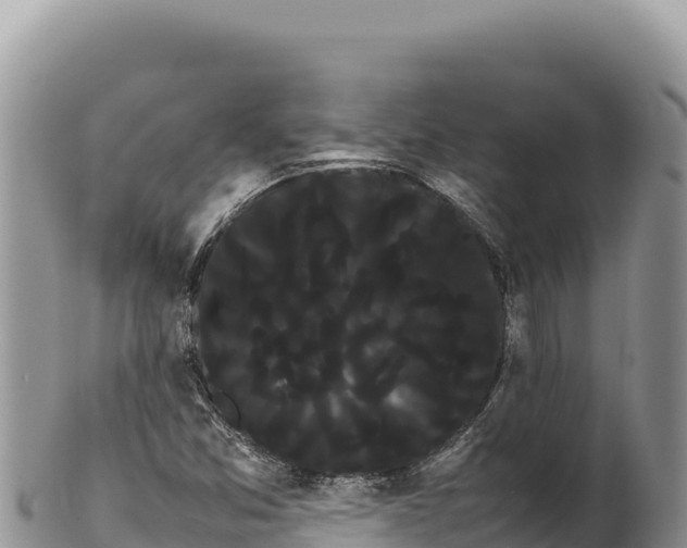 X0000100221357200806201458