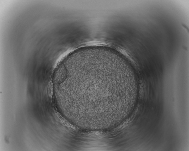 X0000100221358200806201458