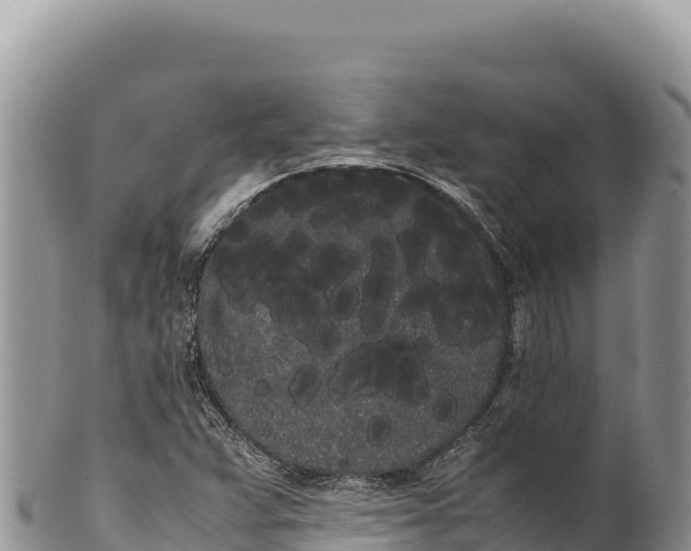 X0000100221359200806201458