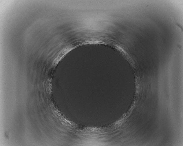 X0000100221361200806201458