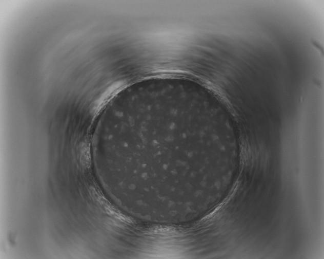 X0000100221362200806201458