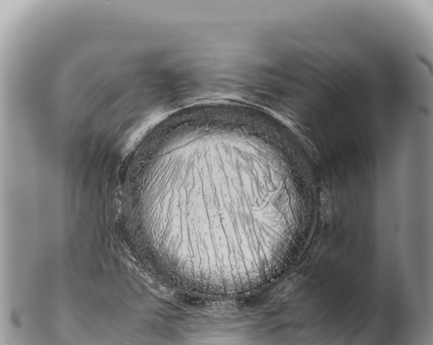 X0000100221363200806201458