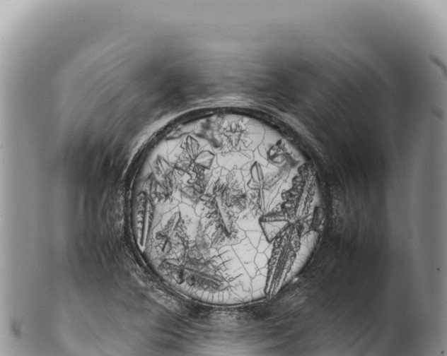 X0000100221364200806201458