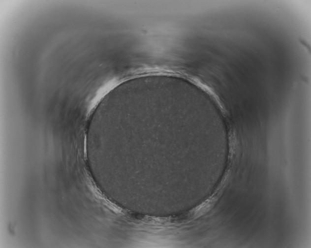 X0000100221365200806201458