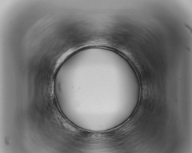 X0000100221366200806201458