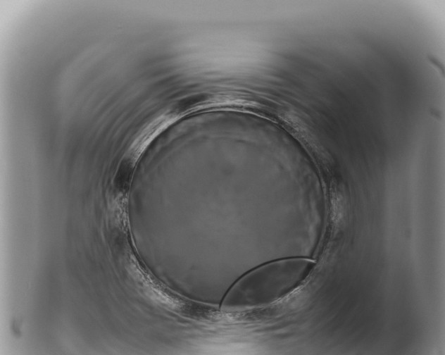 X0000100221369200806201458