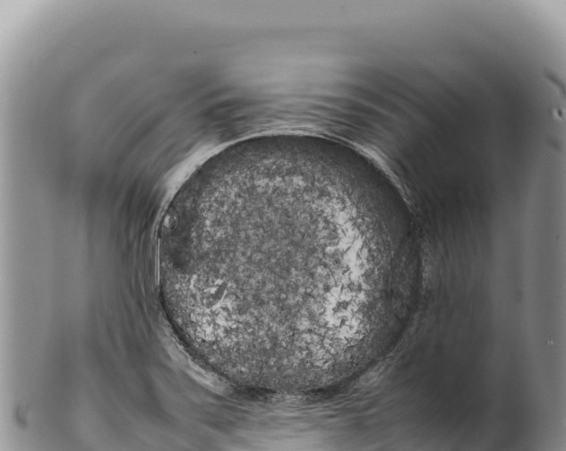 X0000100221371200806201458