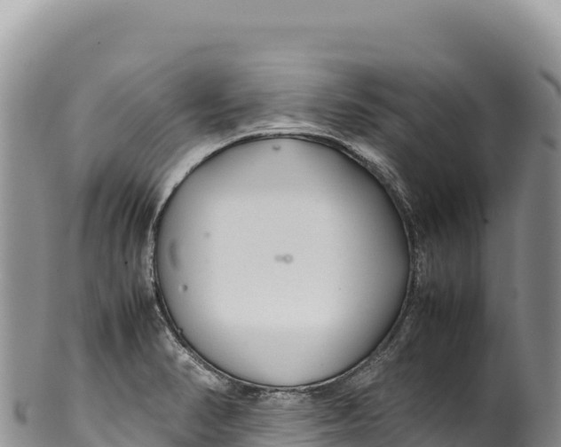 X0000100221374200806201458