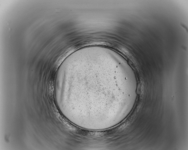 X0000100221377200806201458