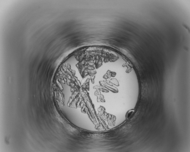 X0000100221380200806201458