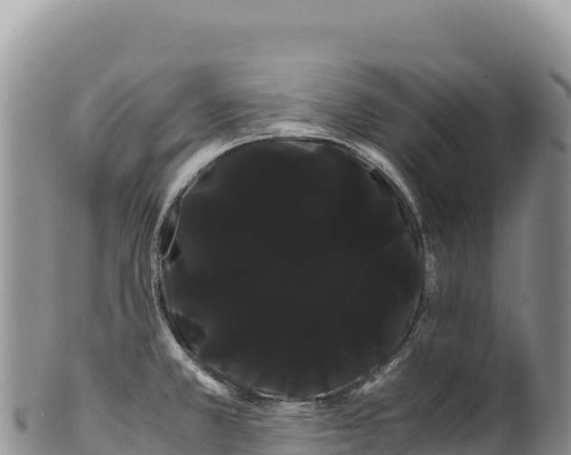 X0000100221381200806201457